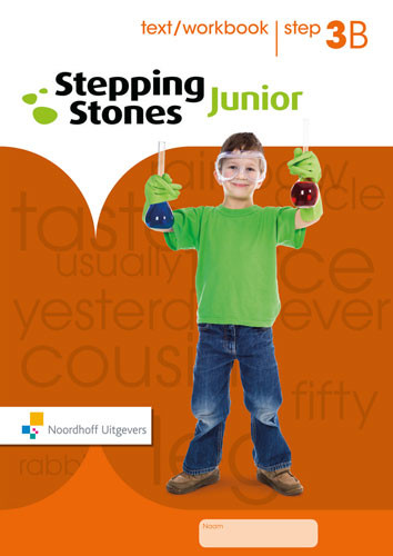 Stepping Stones Junior - gr8 - Text-workbook 3B
