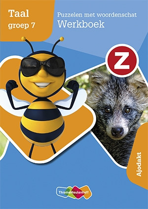 Z-Taal - Puzzelen met woordenschat Ajodakt - groep 7 Werkboek