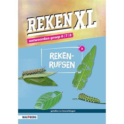 RekenXL - gr 6,7,8 - B - Rekenrupsen/Gespiegeld - Antwoordenboek