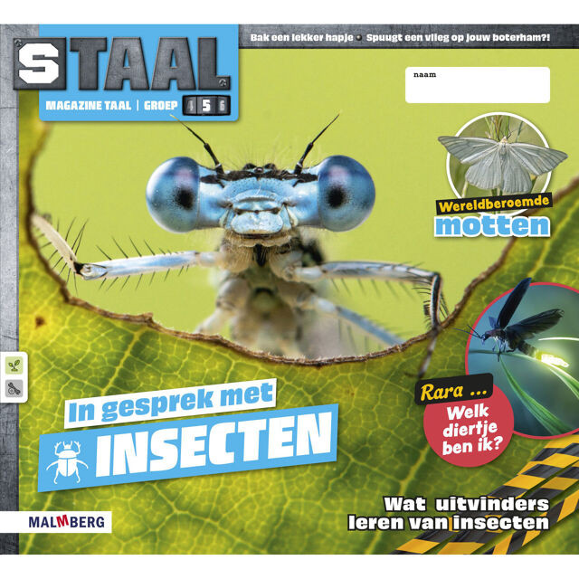 Staal 2 Taal - groep 5 - Pakket magazines & werkboekjes