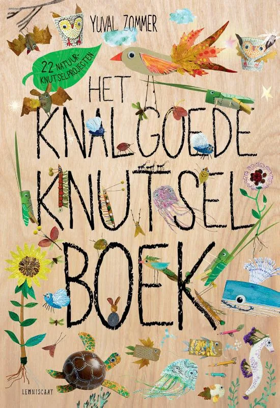 9789047715559 - Het Knalgoede Knutselboek